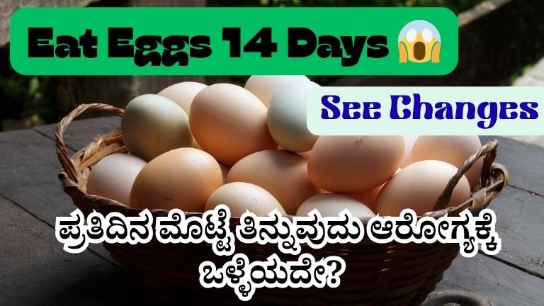 Egg Benefits Kannada