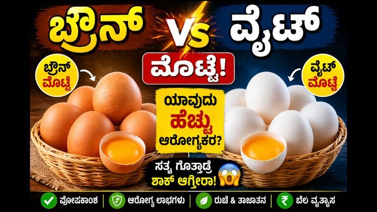 Brown Egg vs White Egg
