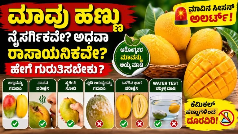 Natural V/s Chemical Mango